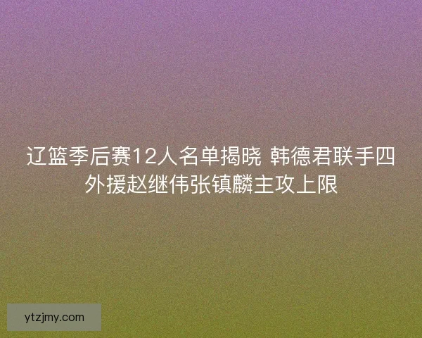 辽篮季后赛12人名单揭晓 韩德君联手四外援赵继伟张镇麟主攻上限